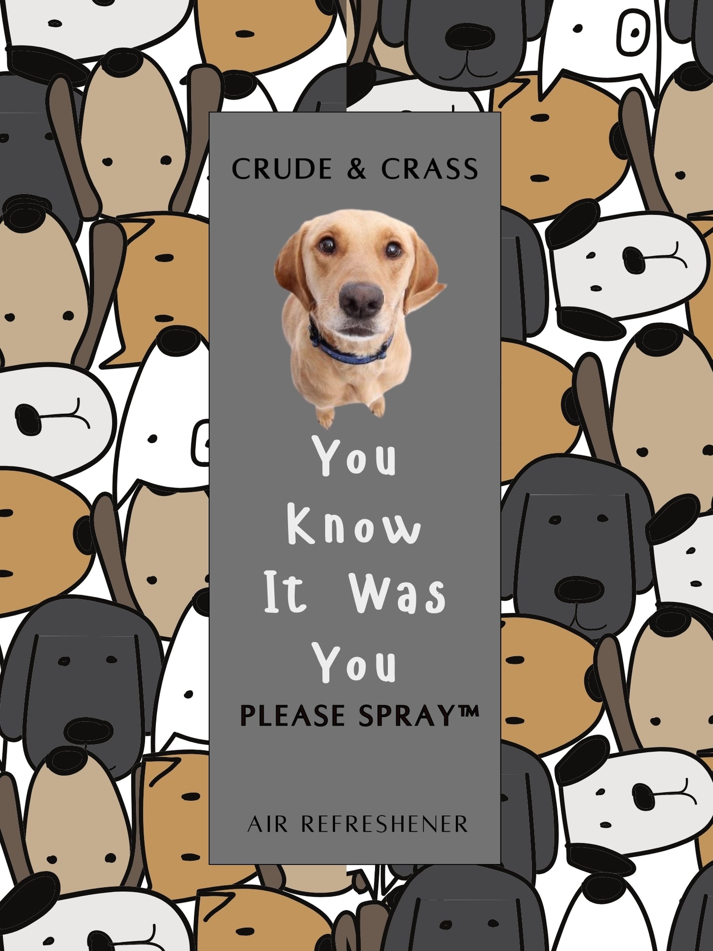 YOU KNOW IT WAS YOU  Please Spray™