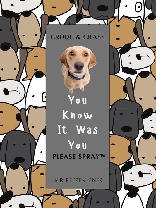 YOU KNOW IT WAS YOU  Please Spray™