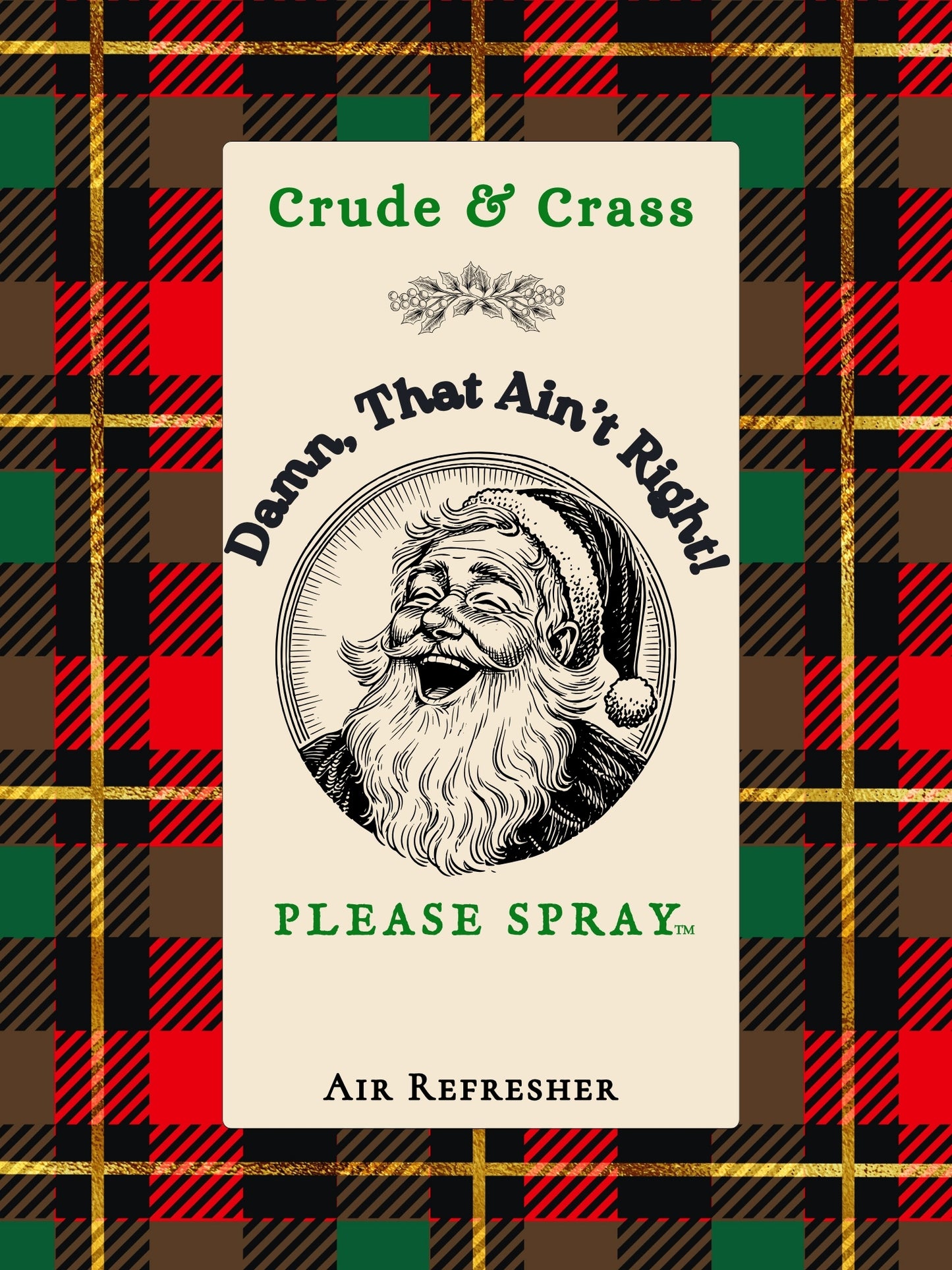 DAMN THAT AIN'T RIGHT    Please Spray™  Christmas Santa