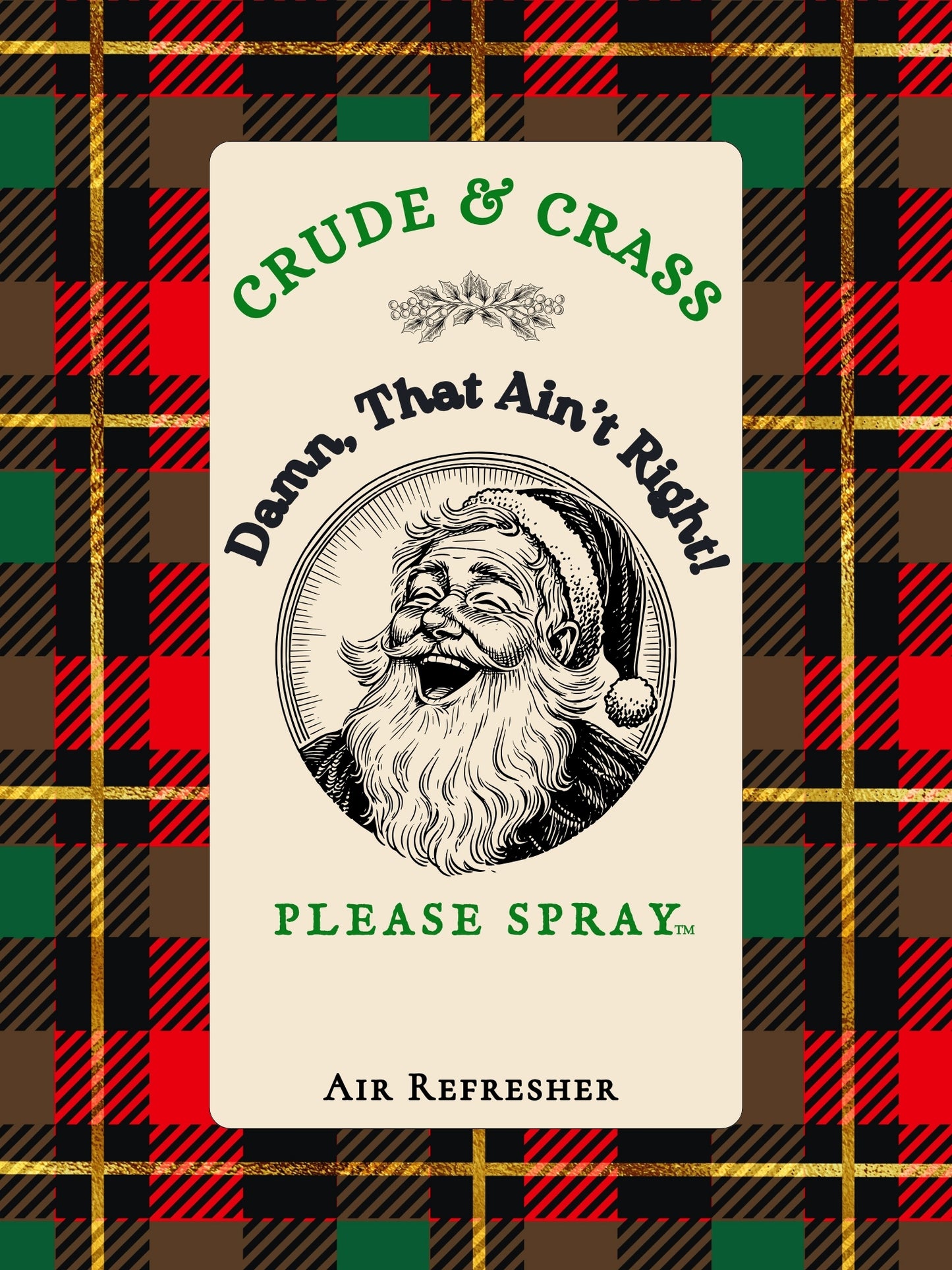 DAMN THAT AIN'T RIGHT    Please Spray™  Christmas Santa