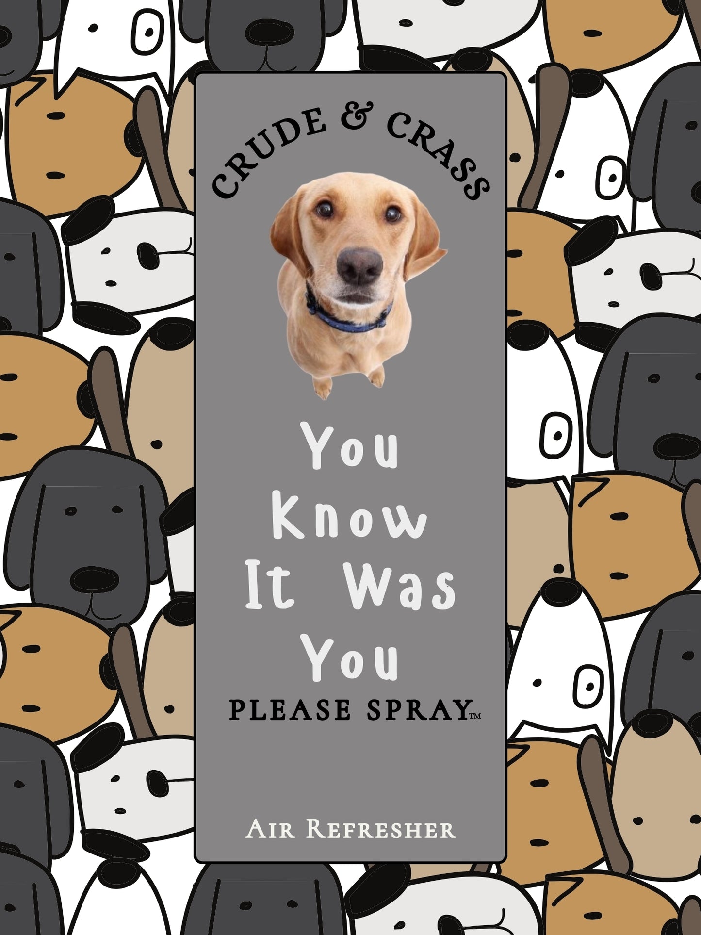 YOU KNOW IT WAS YOU  Please Spray™