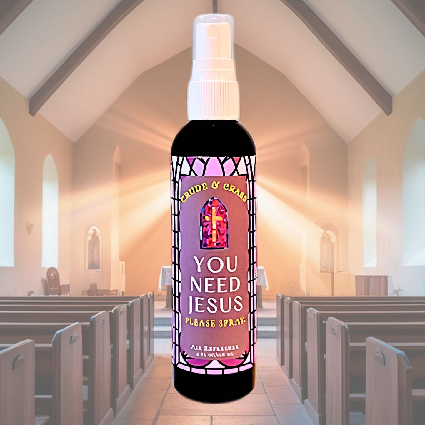 YOU NEED JESUS   Please Spray™